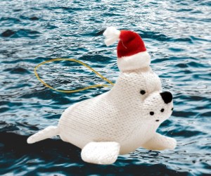 Untitled design - 2025-08-14T132330.864